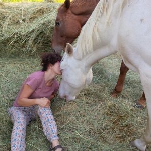 Je garde vos chevaux près de Montauban