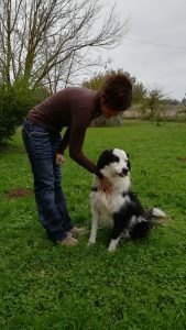 Je garde votre chien près de Montauban